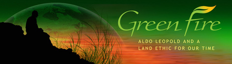 greenfire greenfire