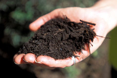 compost one hand 2 compost one hand 2